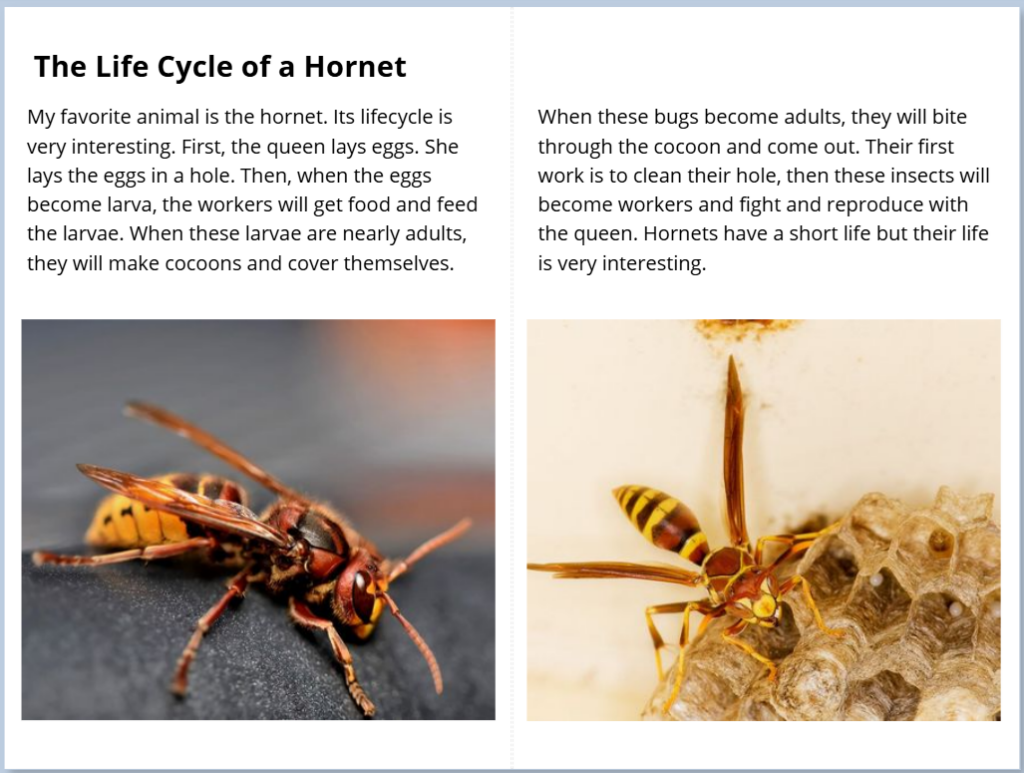 One of the challenges of teaching ESL online is monitoring progress effectively. Digital tools such as Book Creator are excellent options for writing portfolios.